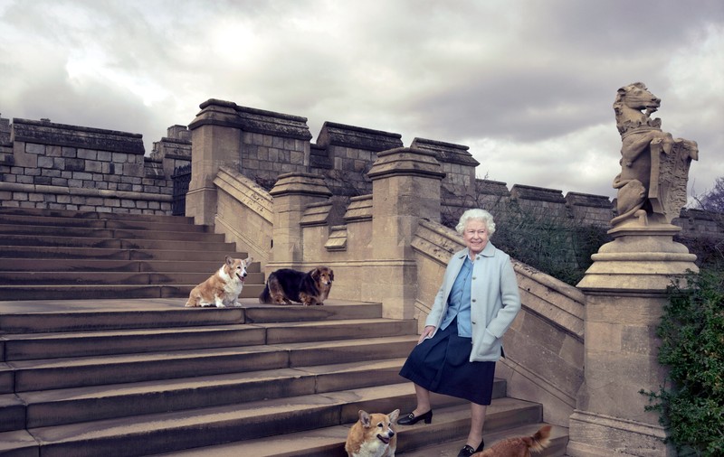 A murit ultimul câine corgi al Reginei Elisabeta a II-a a Marii Britanii