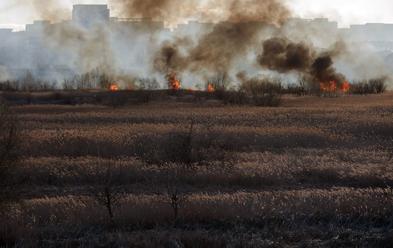 Incendiu puternic în Delta Văcărești. ISU București: Focul a fost provocat