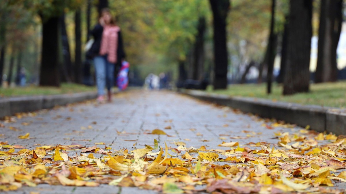 Prognoza meteo pentru România și București