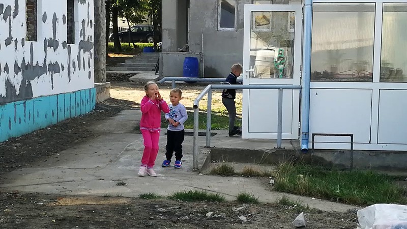 Arhiva foto