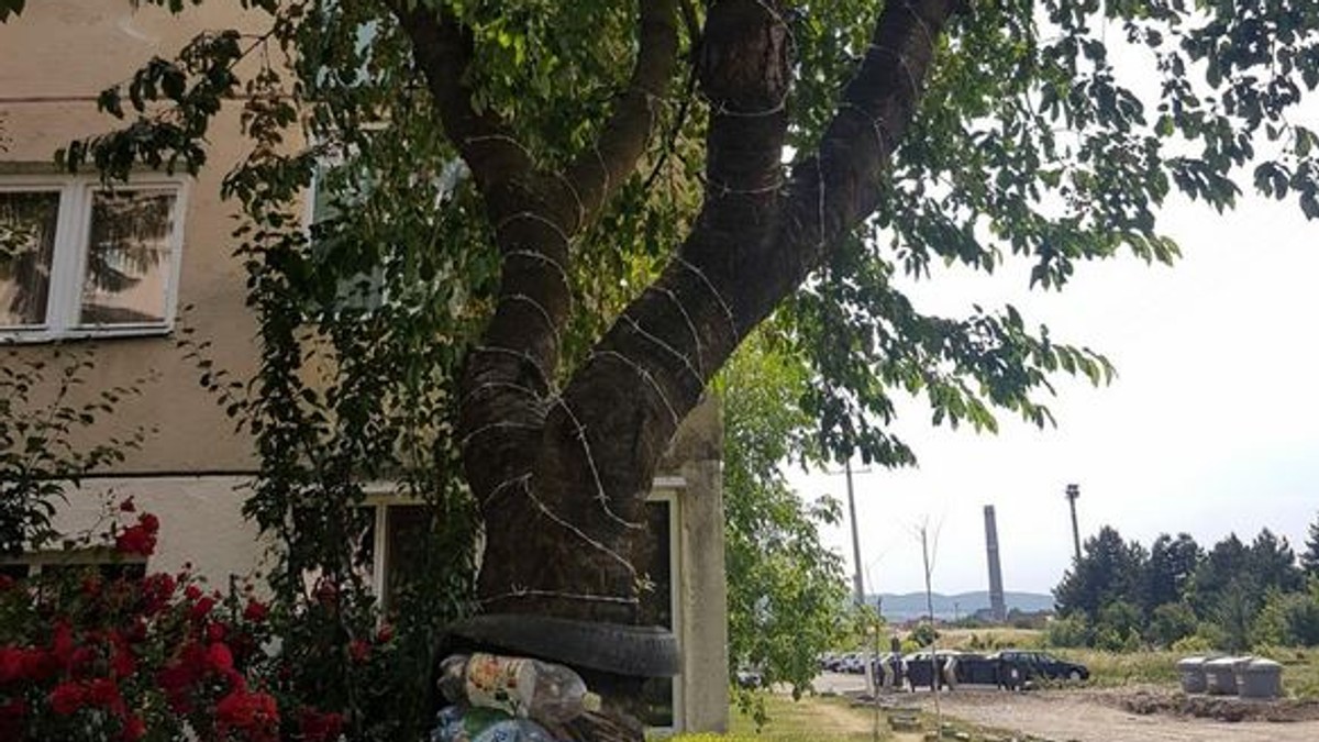 Arhiva foto