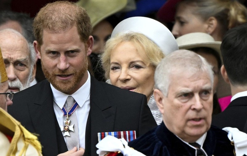 Prințul Andrew și Harry s-au bătut la o reuniune de familie, susține o nouă carte
