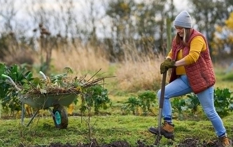 Cum să vă bucurați de produse proaspete și sănătoase din grădina proprie ?