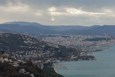 Arhiva foto