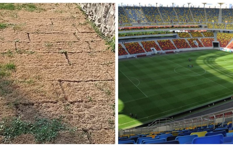 Gazonul din Sebeș s-a uscat în centrul orașului după două luni. A costat aproape cât cel de pe Național Arena