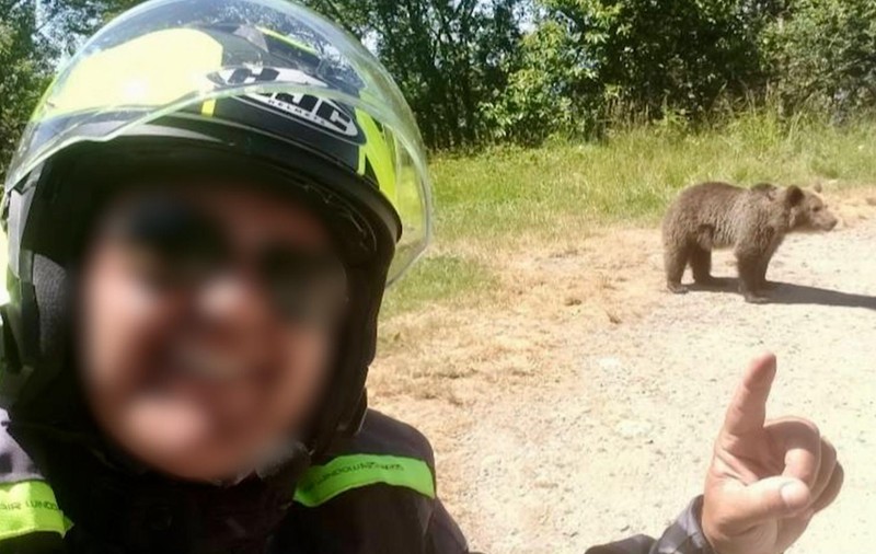 Italianul ucis de urs pe Transfăgărășan a fotografiat animalul chiar și în momentul în care îl ataca
