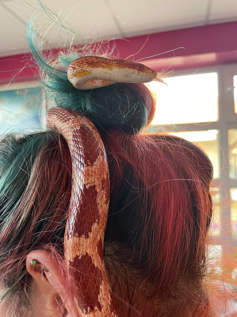 Foto