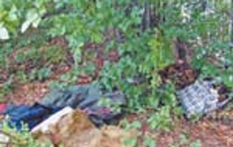 'Haiducul de padure', gasit dupa doua luni de cautari