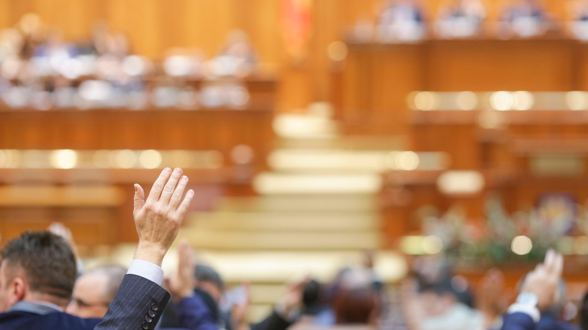 Parlament, plen