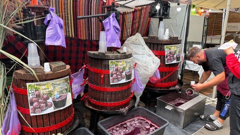 „Festivalul de Bun Must și Pastramă după Gust” are loc în parcul Izvor din București. Foto: Libertatea