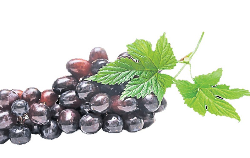 Strugurii sunt antioxidanţi