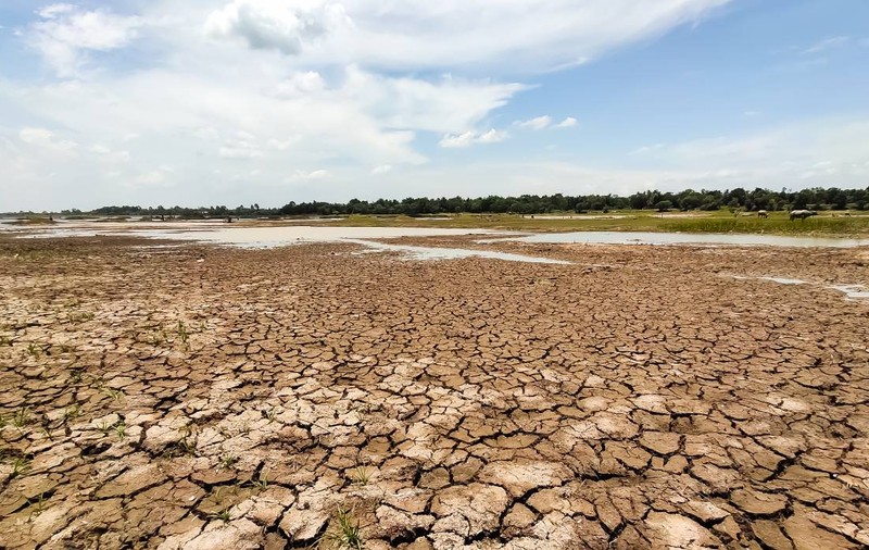 În sudul României, peste 100.000 de hectare s-au transformat în deşert sau urmează să se deşertifice. Ce e de făcut
