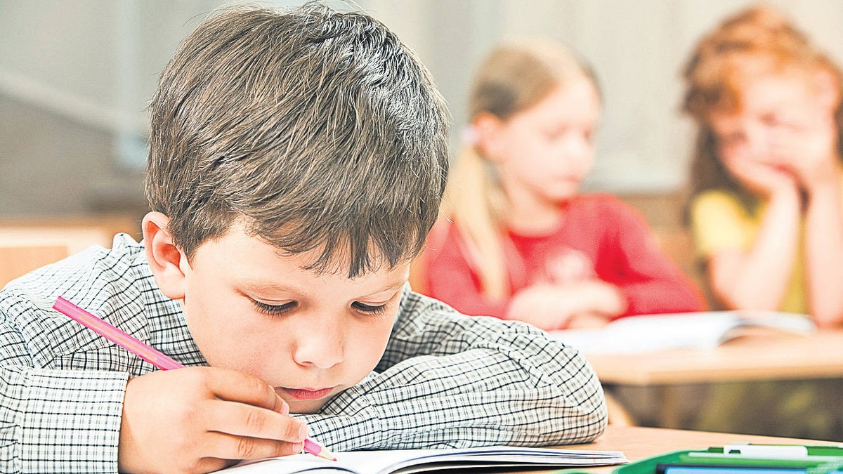 Societatea Editura Didactică şi Pedagogică va edita manualele școlare