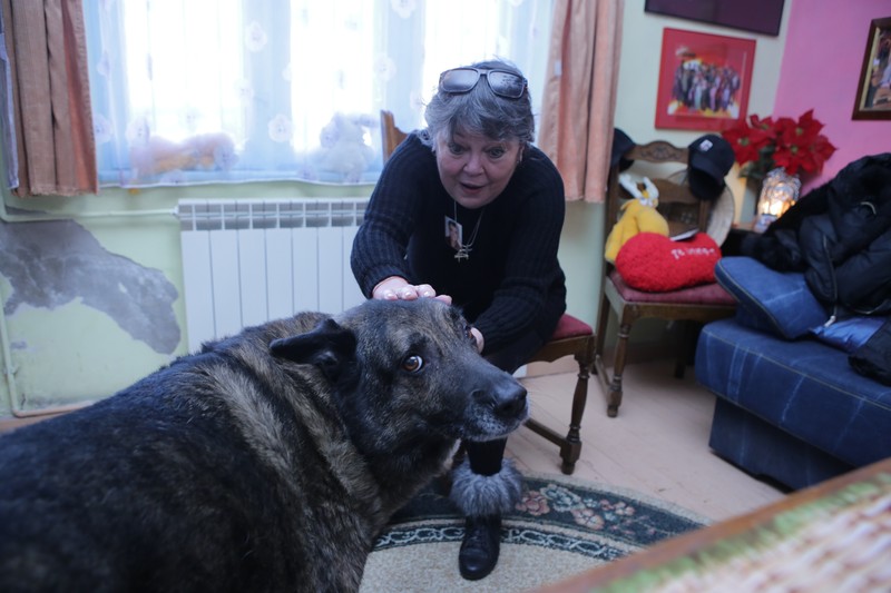 Foto