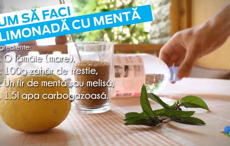Cum să faci Limonadă bio cu mentă || REȚETĂ VIDEO PAS CU PAS