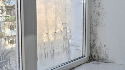 cum-sa-elimini-umezeala-din -casa