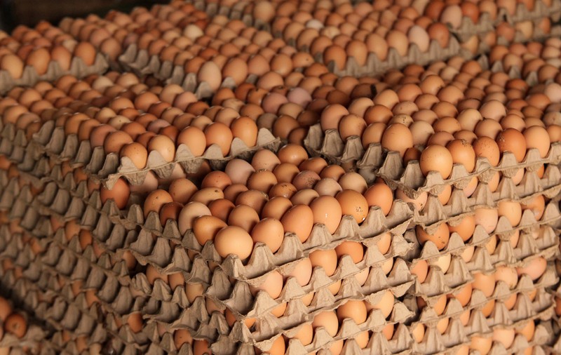 Criză de ouă în România. Retailerii acuză producătorii că profită de gripa aviară din Germania și exportă marfa, producătorii acuză oengiștii