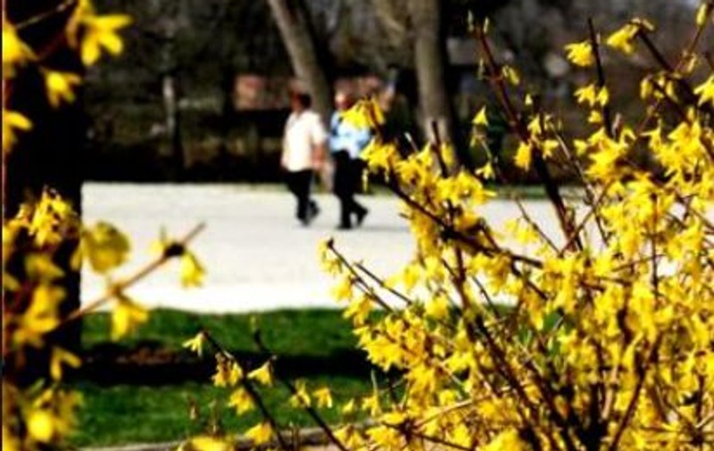 Prognoza meteo pentru august 2019. Cum va fi vremea în ultima lună de vară
