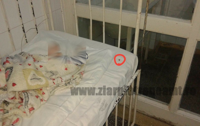 Gândaci în secția de Pediatrie a Spitalului Județean Neamț. Insectele se plimbă prin paturile copiilor bolnavi