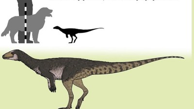 O nouă specie de dinozaur rescrie isttoria răspândirii acestora pe Pamânt