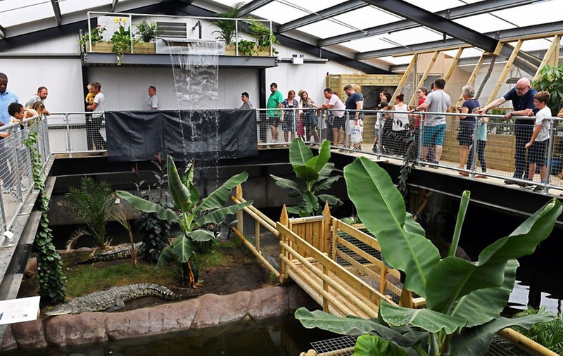 Îngrijitorii de la zoo au sărit în groapa cu crocodili să salveze un băiețel de 3 ani care fusese aruncat înăuntru