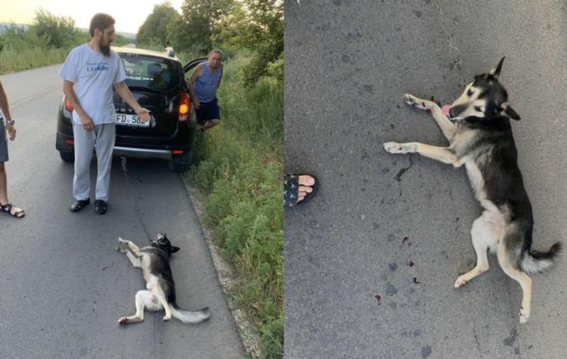 Imagini șocante cu un preot din Republica Moldova care a târât un câine cu mașina. „M-am comportat omenește, nu l-am otrăvit sau ucis” / VIDEO