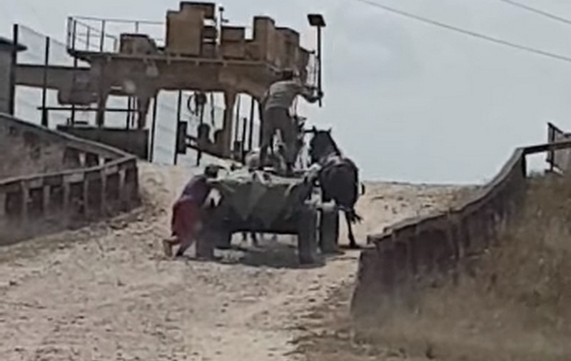 Imagini șocante în Dâmbovița! Un bărbat a fost filmat când lovește violent doi cai cu o lopată