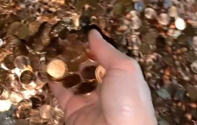 Un patron, dat în judecată de guvernul SUA după ce a aruncat peste 91.000 de monede pe aleea unui fost angajat