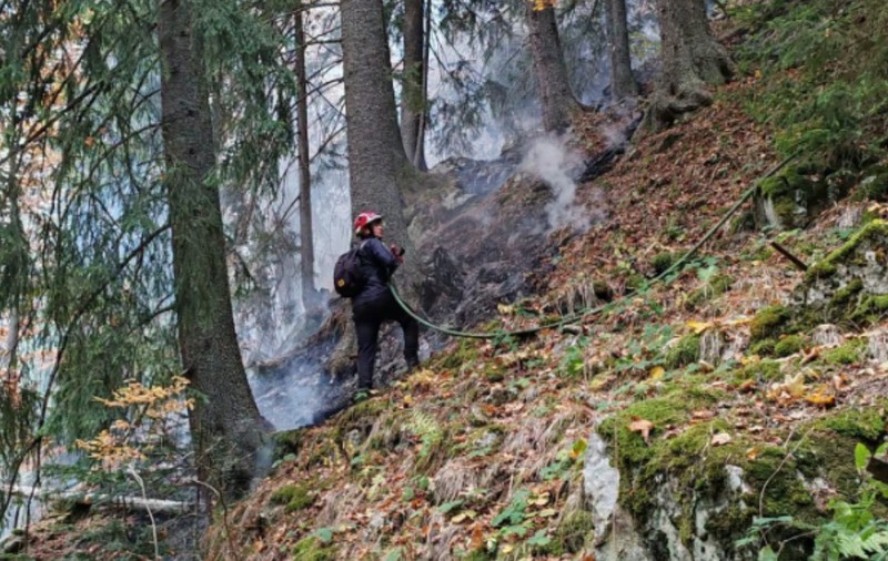 Un pompier în timp ce stinge un incendiu de vegetatie