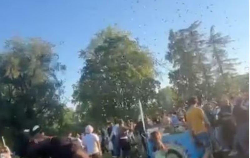 Sute de oameni s-au călcat în picioare să culeagă bancnotele aruncate dintr-o dronă de un influencer, în Elveția. VIDEO