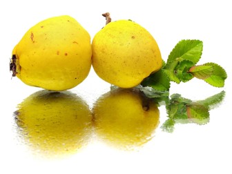 Fructe de gutui japonez