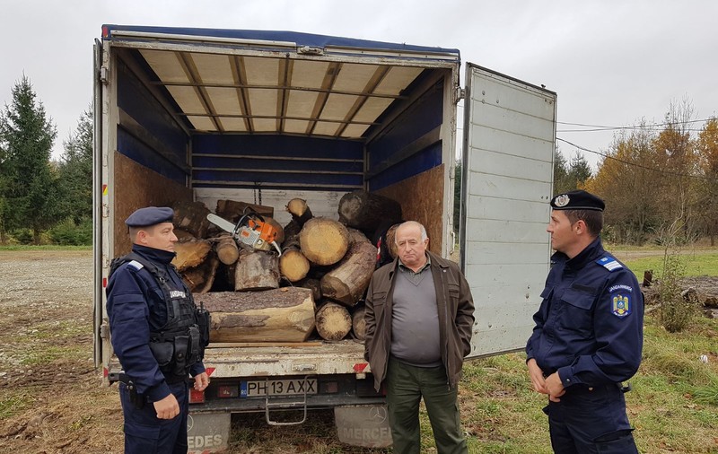 Pădurar din Prahova, prins la furat lemn. Bărbatul avea în dotare tot ce-i trebuia ca să nu fie prins FOTO&VIDEO