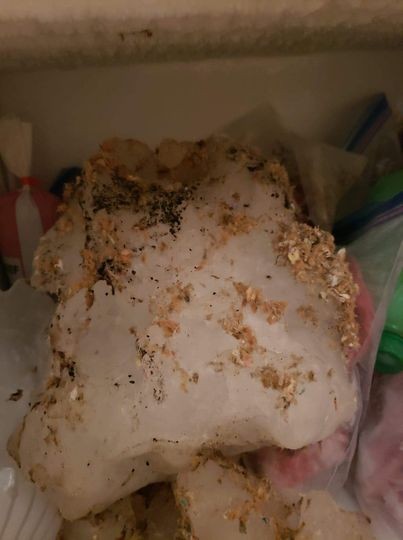 Bucata de gheață care a spart acoperișul casei din Wisconsin Foto: Facebook / WQOW News 18
