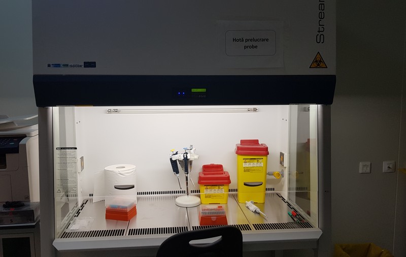 Cum se fac testele pentru depistarea COVID-19. Imagini din laboratorul din Iași și explicațiile cercetătorilor