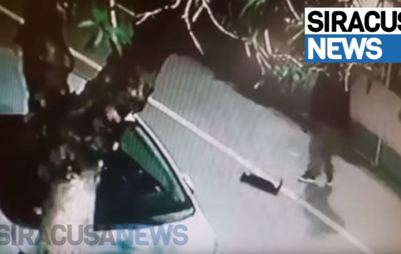 Un român din Italia a omorât în bătaie o pisică. Scenele de cruzime au fost filmate. Ce pedeapsă riscă individul