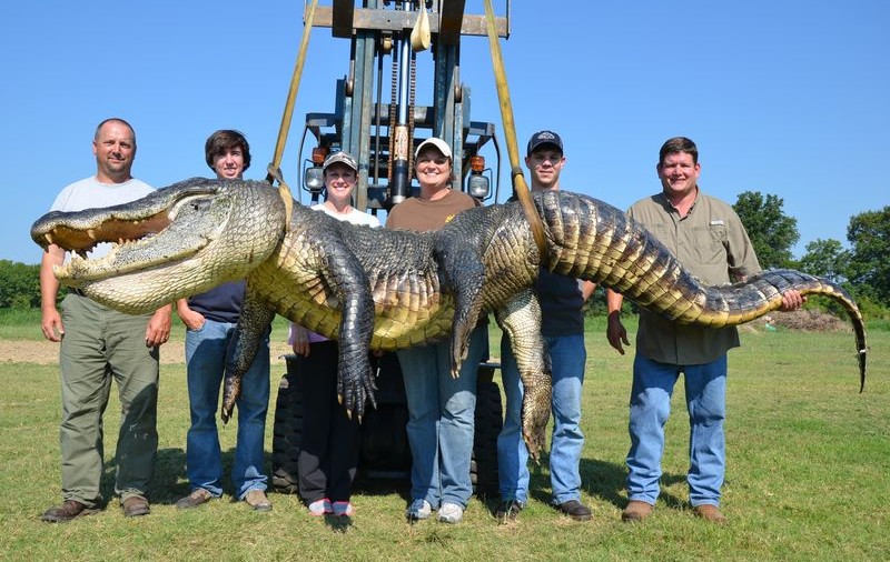 Uite monstrul! Trei americani au prins un crocodil de 300 de kilograme şi patru metri lungime | FOTO