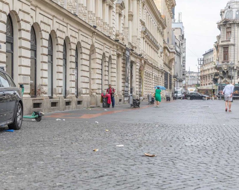 De ce sunt mulți șobolani în București. Primăria Capitalei a făcut un apel la locuitori pentru ca deratizarea să funcționeze