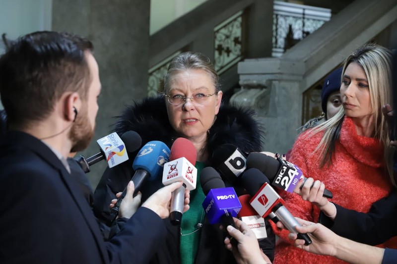 Flavia Teodosiu, avocata lui Liviu Dragnea
