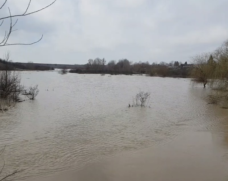 VIDEO&FOTO. Pagube uriașe după inundațiile din Teleorman. Sute de gospodării sunt afectate. Oamenii, evacuați din calea apei
