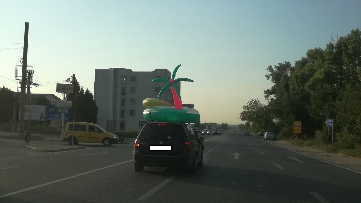 Arhiva foto