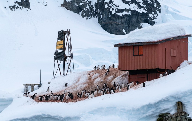 Cercetători izolați în Antarctica cer ajutor: „Un coleg a amenințat că va ucide pe cineva”