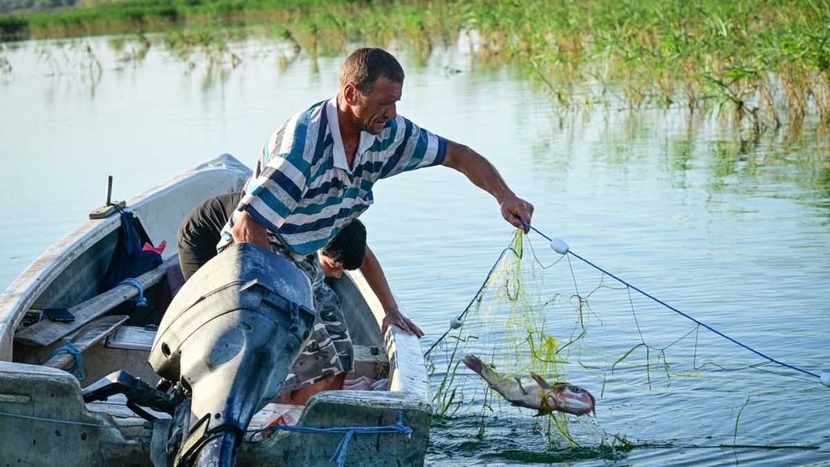 Pescari locali recuperează un crap prins într-o plasă, dintr-o barcă aflată pe un lac nou format în urma renaturării unui teren agricol inundat, lângă satul Mahmudia, la 9 iulie 2024