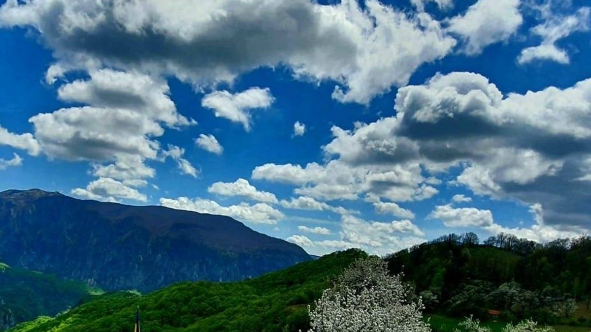 Arhiva foto