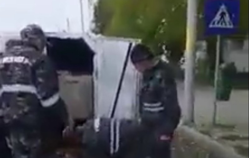 Câini aruncați în saci de hingherii din Vaslui. Animalele prinse sunt chinuite