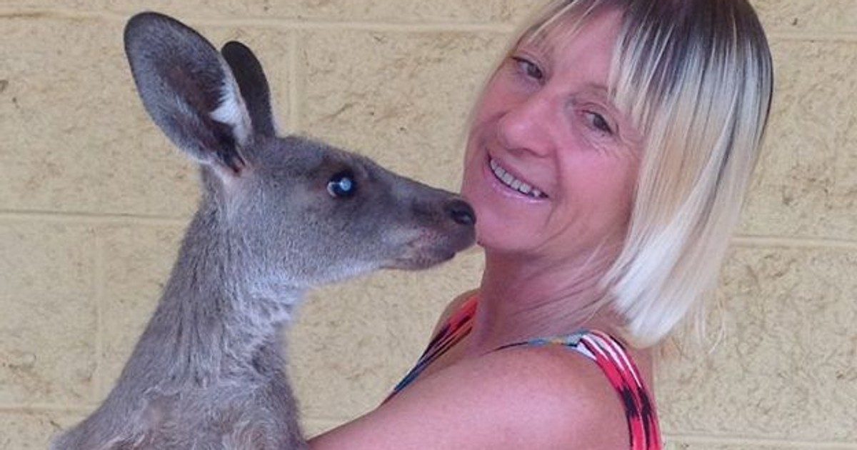 Familie din Australia, atacată de un cangur