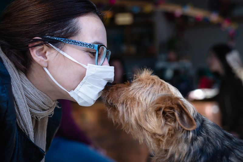Cercetătorii studiază un nou tip de coronavirus identificat la câini și riscurile ca acesta să treacă la oameni | Foto: Shutterstock