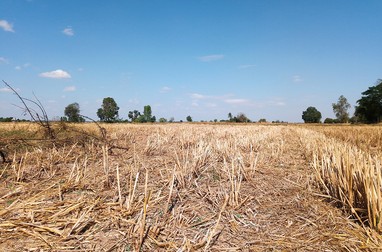 În anii 2011, 2013 şi 2014, Agroberin S.R.L. Bucureşti a primit subvenții de sute de mii de lei pentru lucrări agricole declarate ca fiind executate, dar pe care, în realitate, societatea nu le-a efectuat