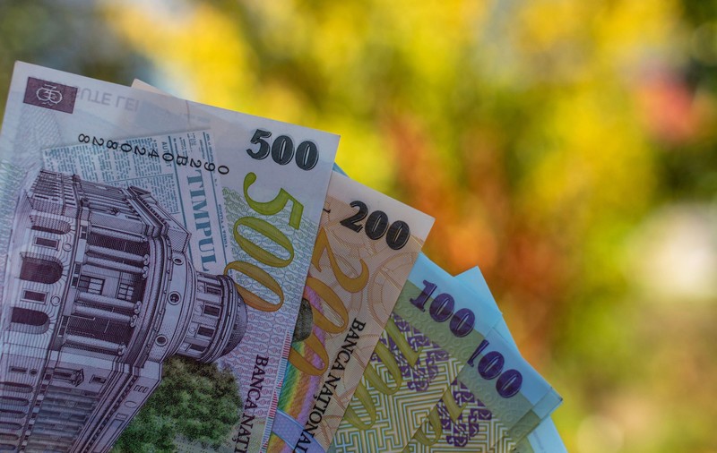 Cojile de semințe pot costa și 29.000 de lei, în Brăila. Război total al poliției împotriva celor care le aruncă pe spațiul public