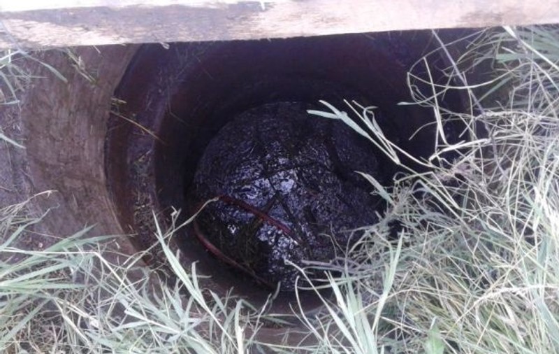 Au salvat calul căzut într-o fântână dezafectată! FOTO