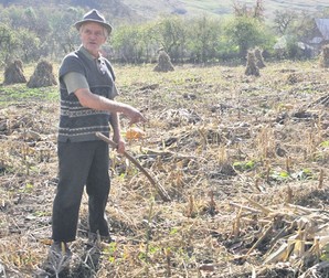 Arhiva foto